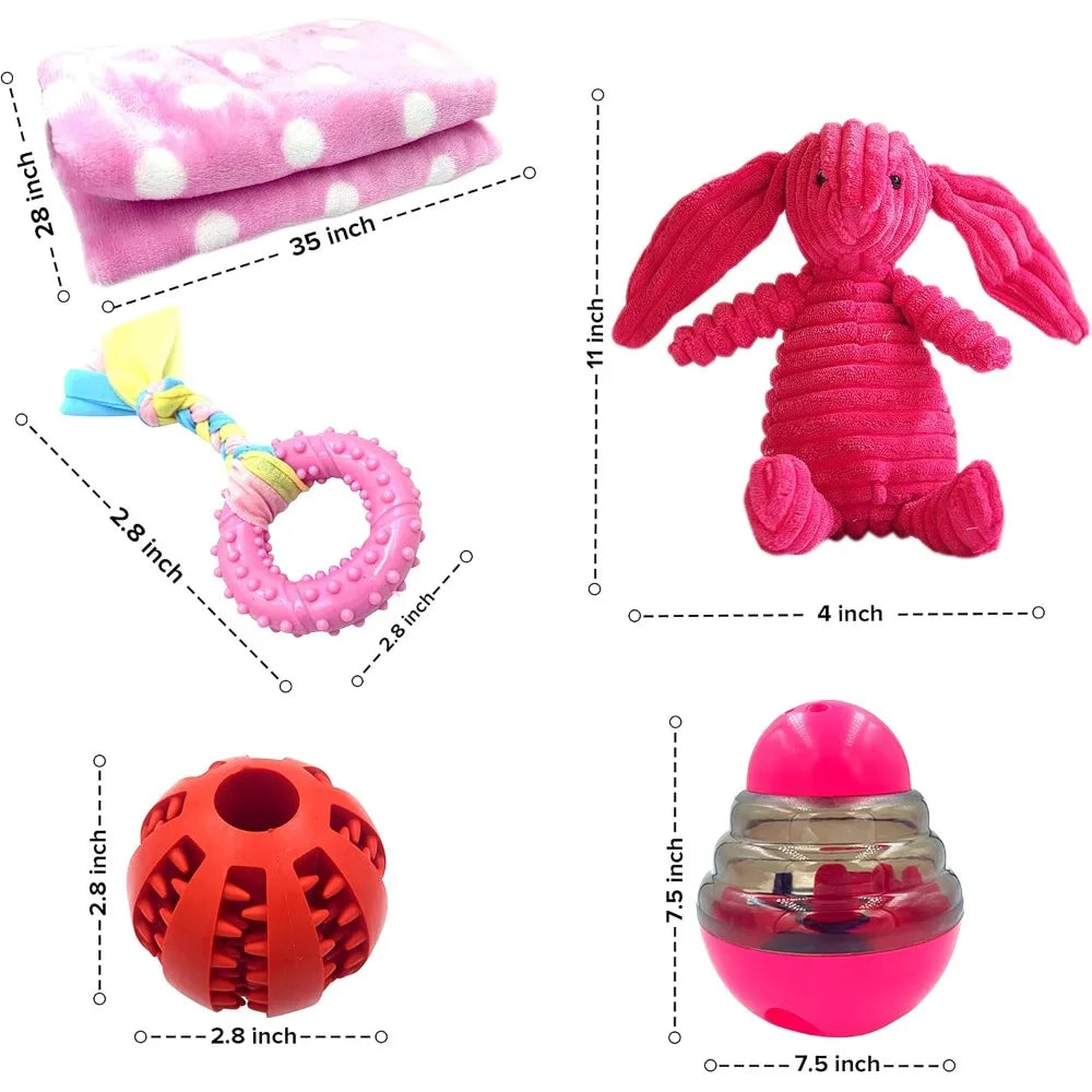 Pink Dog Gift Box - Puppy Chew Toy Set of 5 - Care Package with Dog Blanket, Squeaky Plush, Rubber Puppy Teether, Teething Ball,