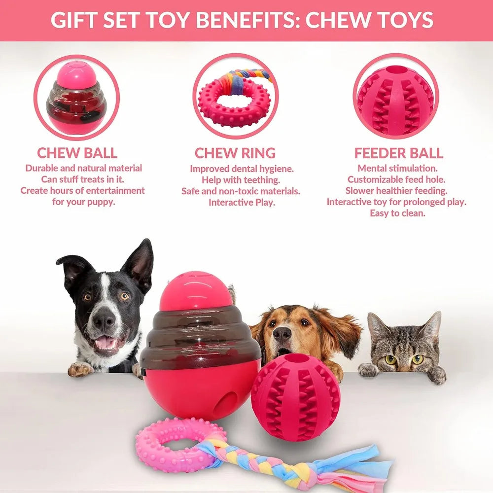 Pink Dog Gift Box - Puppy Chew Toy Set of 5 - Care Package with Dog Blanket, Squeaky Plush, Rubber Puppy Teether, Teething Ball,
