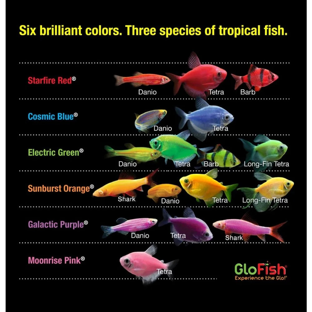 Glofish 10 Gallon Aquarium Fish Tank Kits, Includes LED Lighting and Décor (Amazon Exclusive)