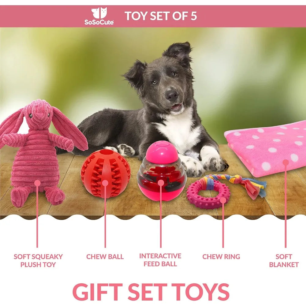 Pink Dog Gift Box - Puppy Chew Toy Set of 5 - Care Package with Dog Blanket, Squeaky Plush, Rubber Puppy Teether, Teething Ball,