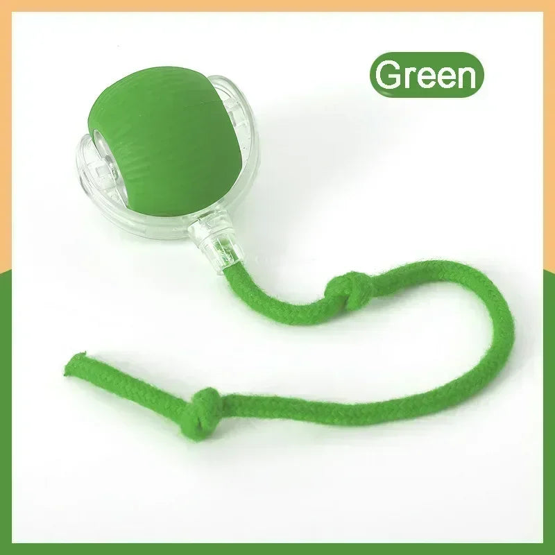 Cat Toy, Speedy Tail Cat Toy, Interactive Cat Ball Toy, Smart Cat Toys Ball, Two Speed Adjustment, with Tail