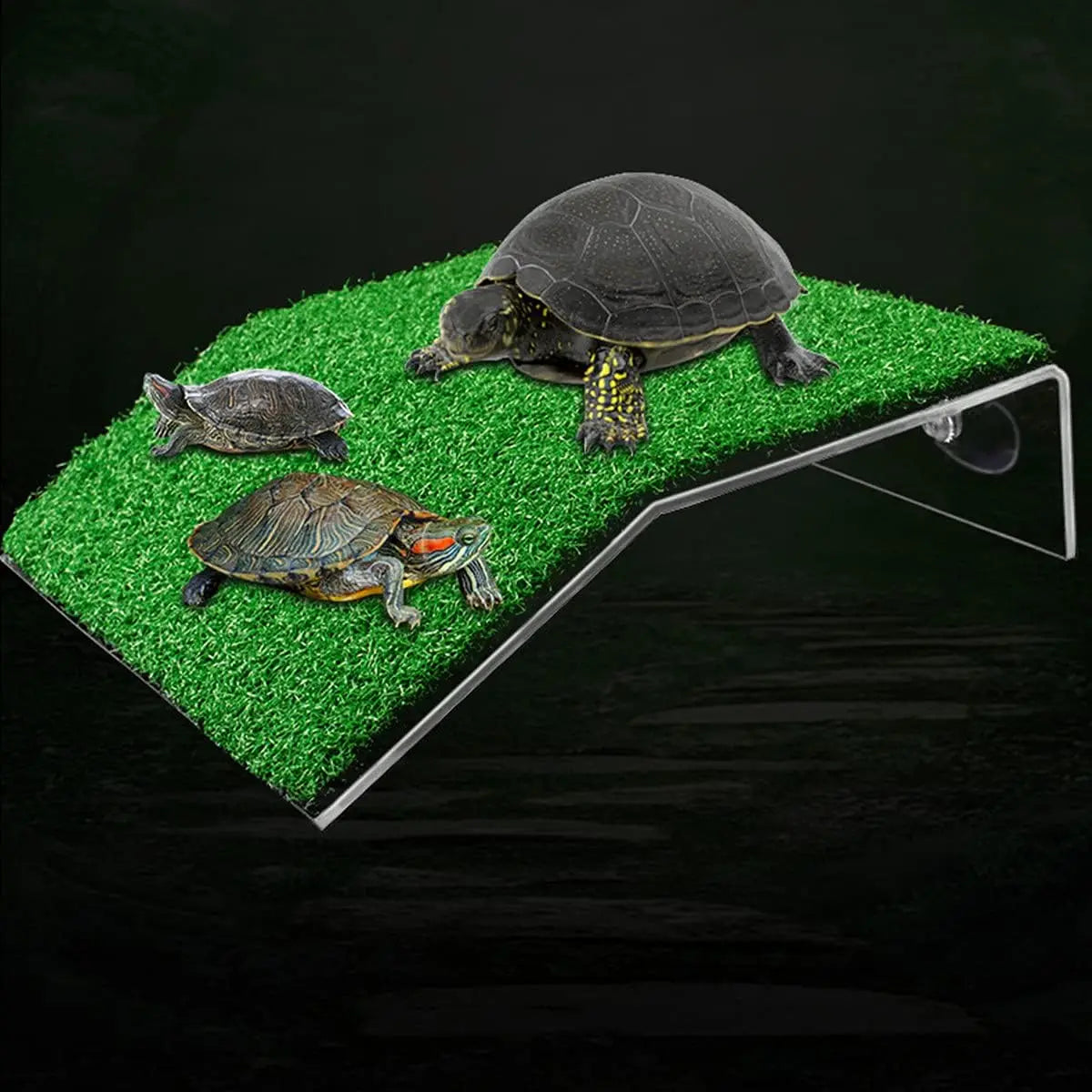 Turtle Basking Platform Ramp For Tank Non Toxic PP Plastic
