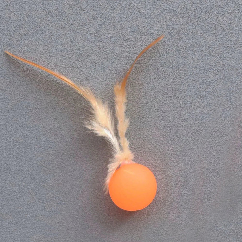 5pcs Funny Cat Elastic Ball Toy Interactive Balls Pet Supplies Feather Football Toys Dog Playthings Kitten