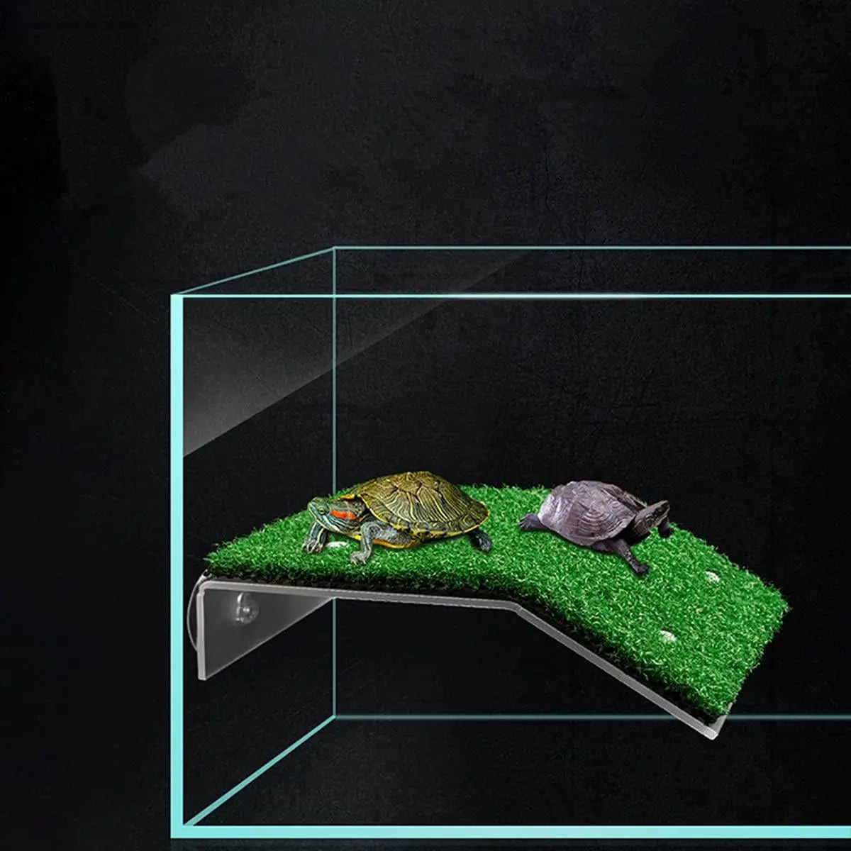 Turtle Basking Platform Ramp For Tank Non Toxic PP Plastic