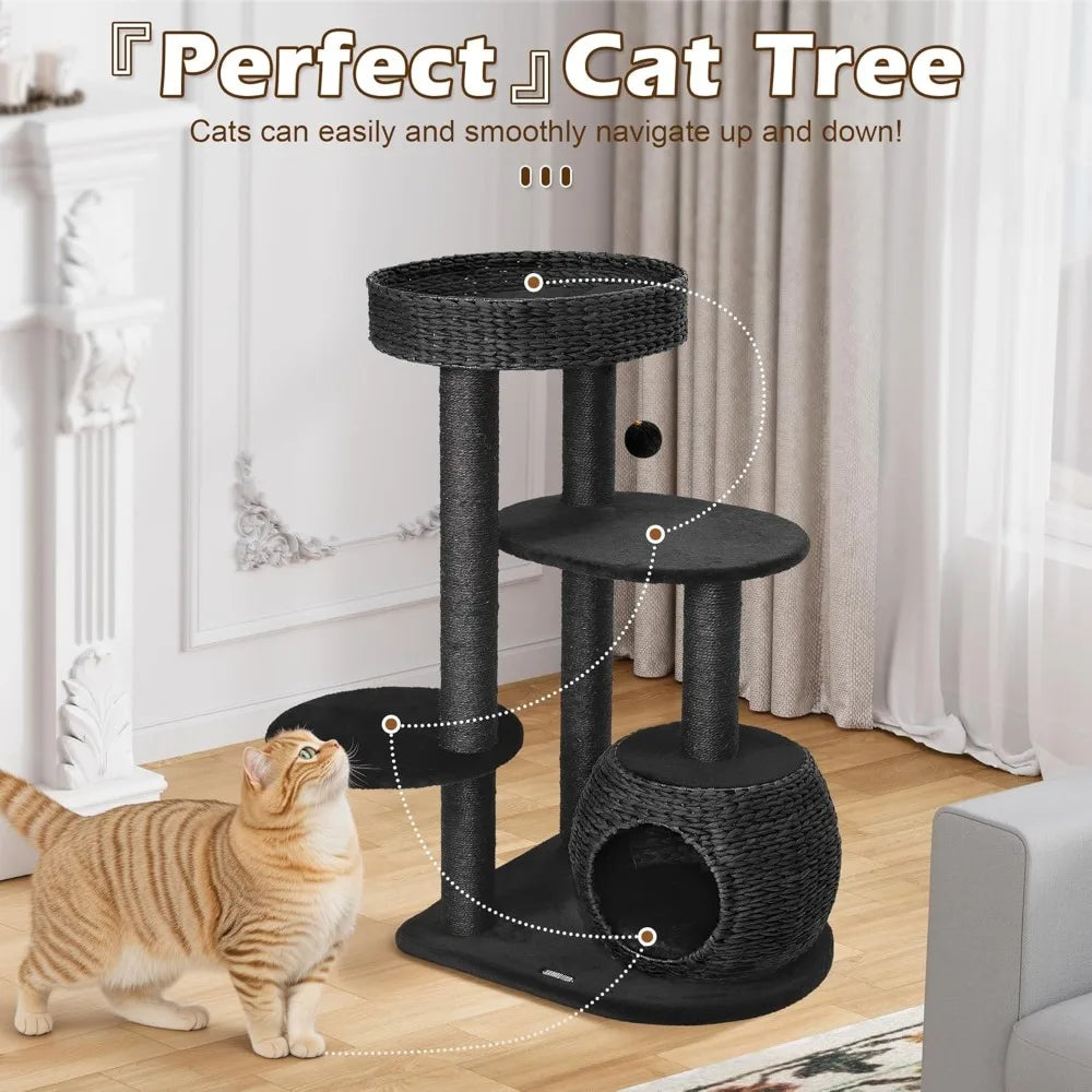Modern Cat Tree 39 Inch Tall Black Cat Tree for Kittens Climb Play and Rest Indoor Cat Trees with Natural Sisal Scratching Post