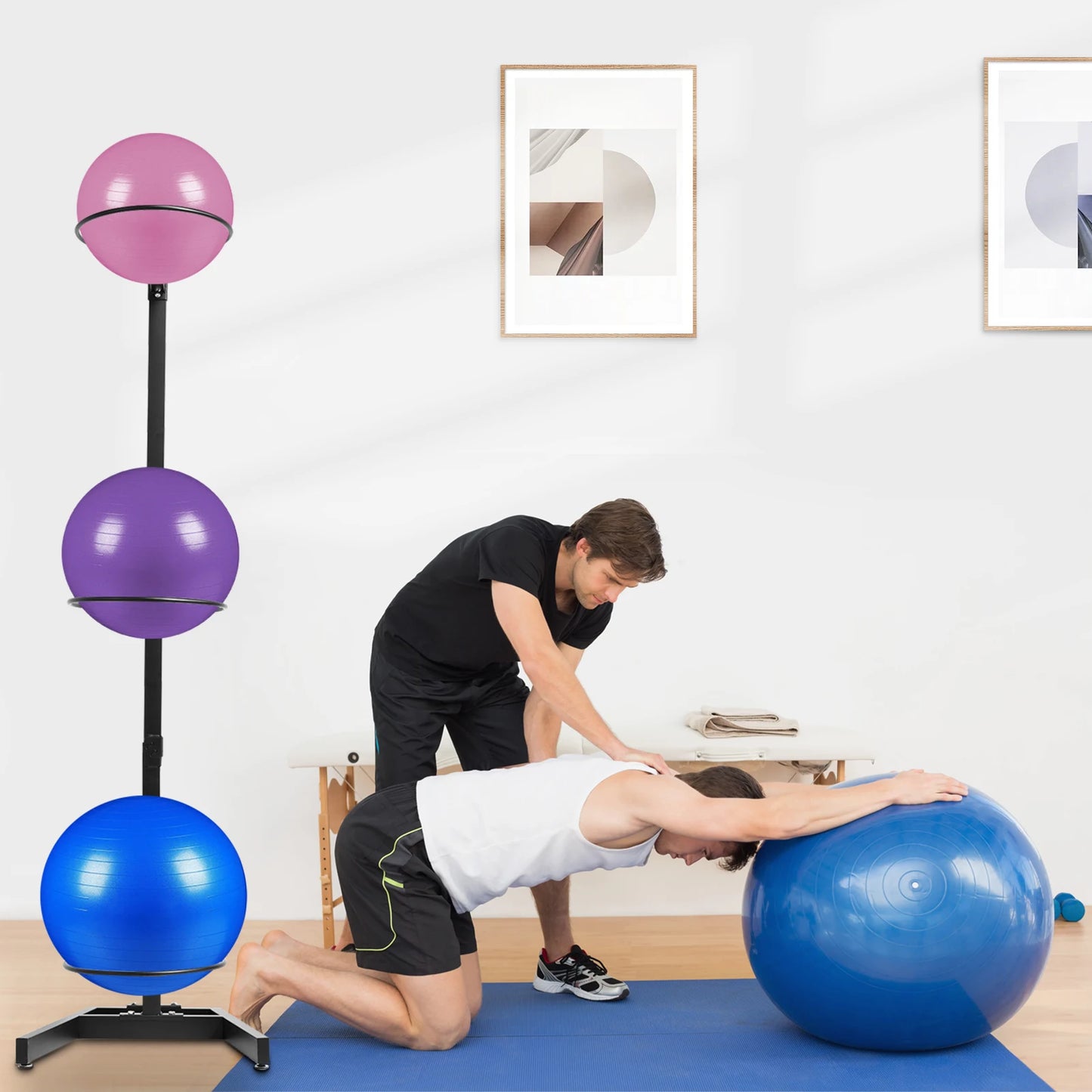 Vertical Ball Yoga Ball Holder Rack, Yoga Storage Rack with Steel Frame for Commercial Home
