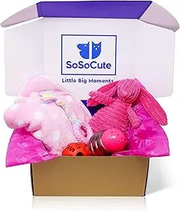 Pink Dog Gift Box - Puppy Chew Toy Set of 5 - Care Package with Dog Blanket, Squeaky Plush, Rubber Puppy Teether, Teething Ball,