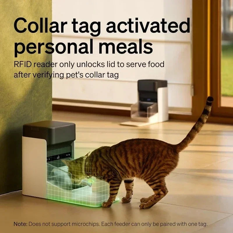 Sell like hot cakes 3L Auto Cat Feeders with Light Collar Tag, Tag Activated  Automatic Cat Feeders for 2 Cats, 5G Wi-Fi 2 Cat F