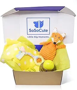 Pink Dog Gift Box - Puppy Chew Toy Set of 5 - Care Package with Dog Blanket, Squeaky Plush, Rubber Puppy Teether, Teething Ball,