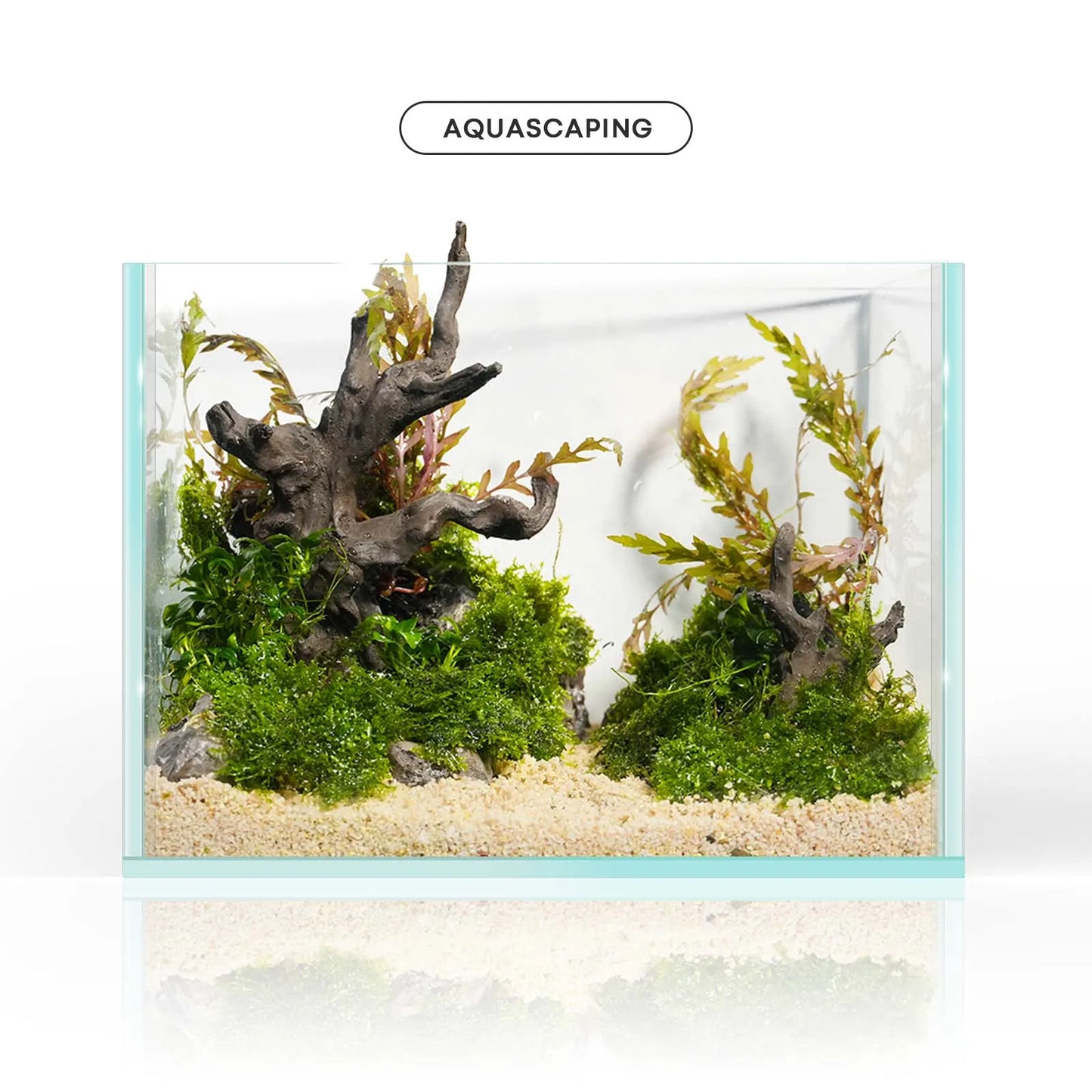 FZONE Resin Driftwood Tree Aquascaping Set For Nano Tanks