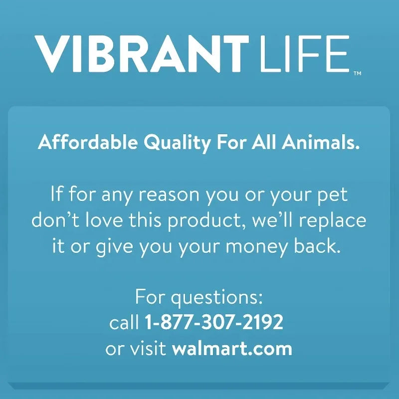 Vibrant Life Large 40 Inch Pet Kennel Dog Crate Plastic Travel Carrier for Pets 70 to 90 Pounds Grey