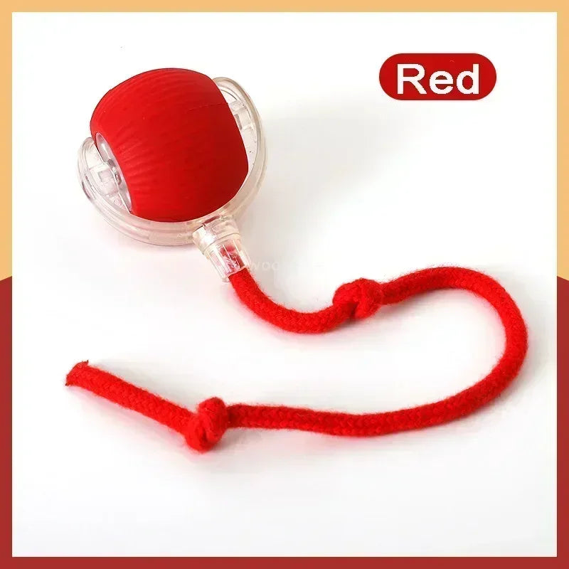 Cat Toy, Speedy Tail Cat Toy, Interactive Cat Ball Toy, Smart Cat Toys Ball, Two Speed Adjustment, with Tail 