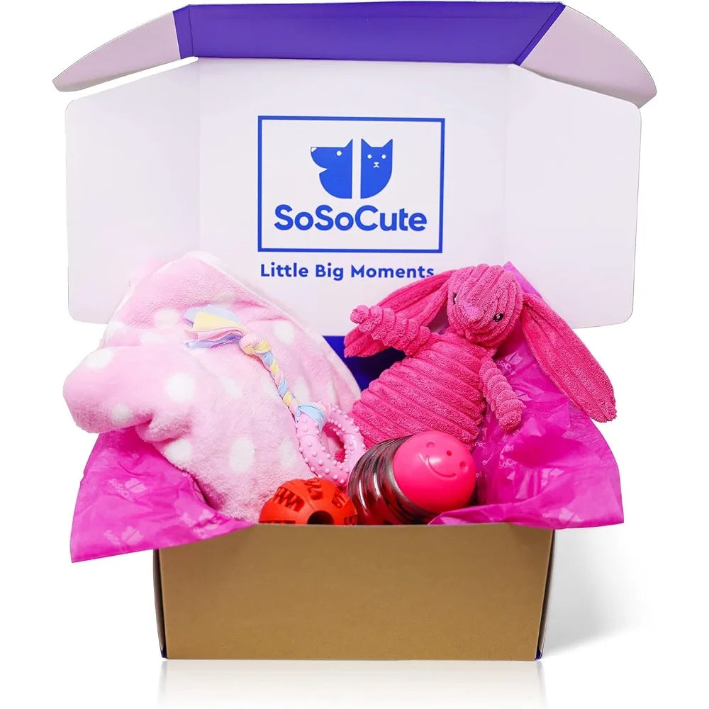 Pink Dog Gift Box - Puppy Chew Toy Set of 5 - Care Package with Dog Blanket, Squeaky Plush, Rubber Puppy Teether, Teething Ball,