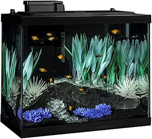 ColorFusion Aquarium 20 Gallon Fish Tank Kit, Includes LED Lighting and Decor