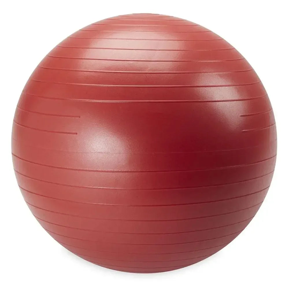 Weighted Stability Ball 55CM -75CM, Pump Included, yoga ball  exercise ball  balance ball
