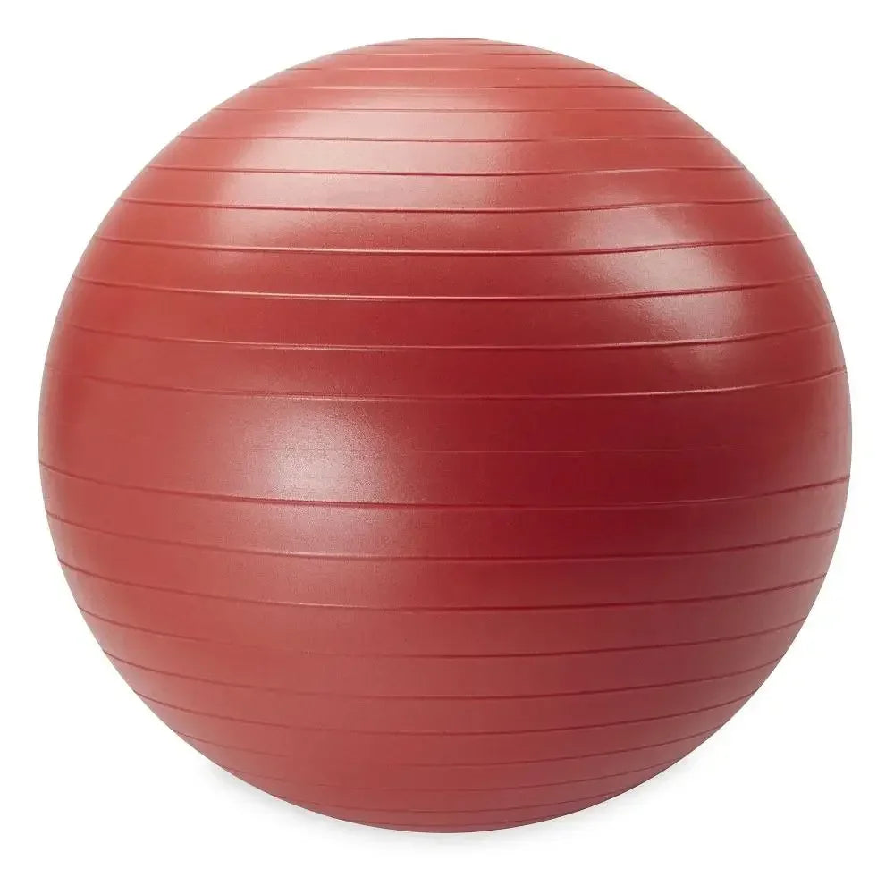 Weighted Stability Ball 55CM -75CM, Pump Included, yoga ball  exercise ball  balance ball