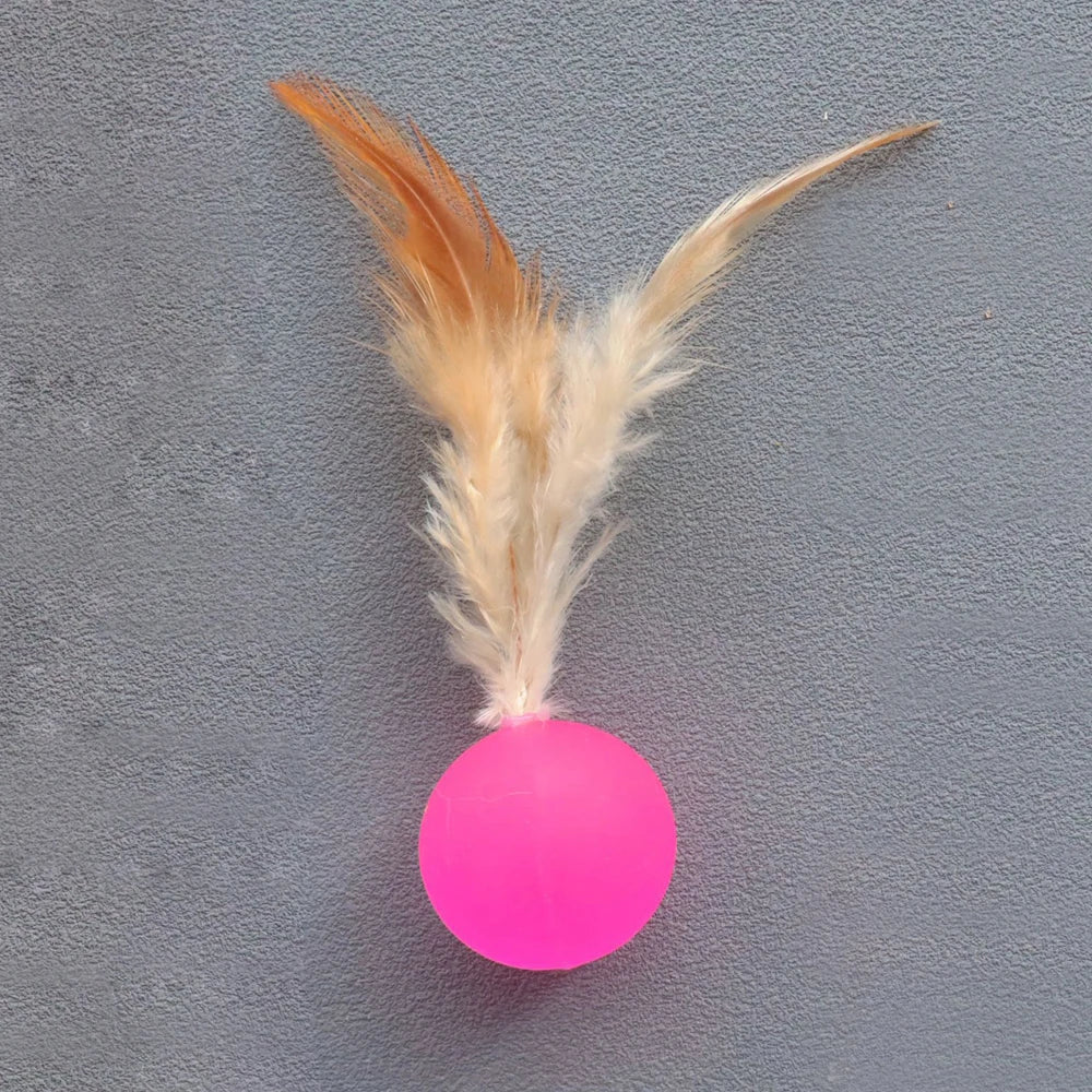 5pcs Funny Cat Elastic Ball Toy Interactive Balls Pet Supplies Feather Football Toys Dog Playthings Kitten