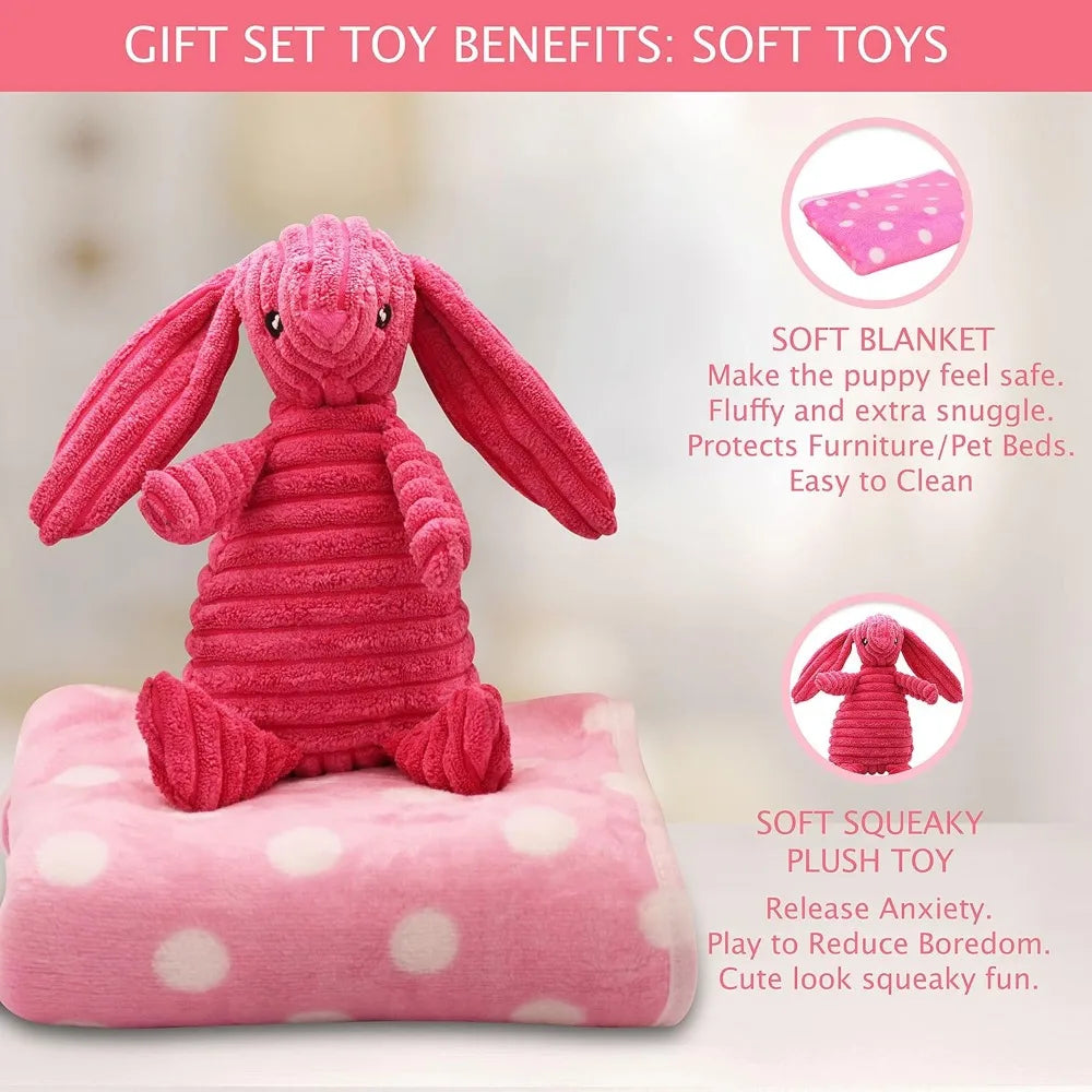 Pink Dog Gift Box - Puppy Chew Toy Set of 5 - Care Package with Dog Blanket, Squeaky Plush, Rubber Puppy Teether, Teething Ball,