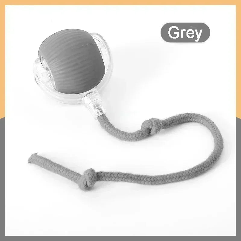Cat Toy, Speedy Tail Cat Toy, Interactive Cat Ball Toy, Smart Cat Toys Ball, Two Speed Adjustment, with Tail 
