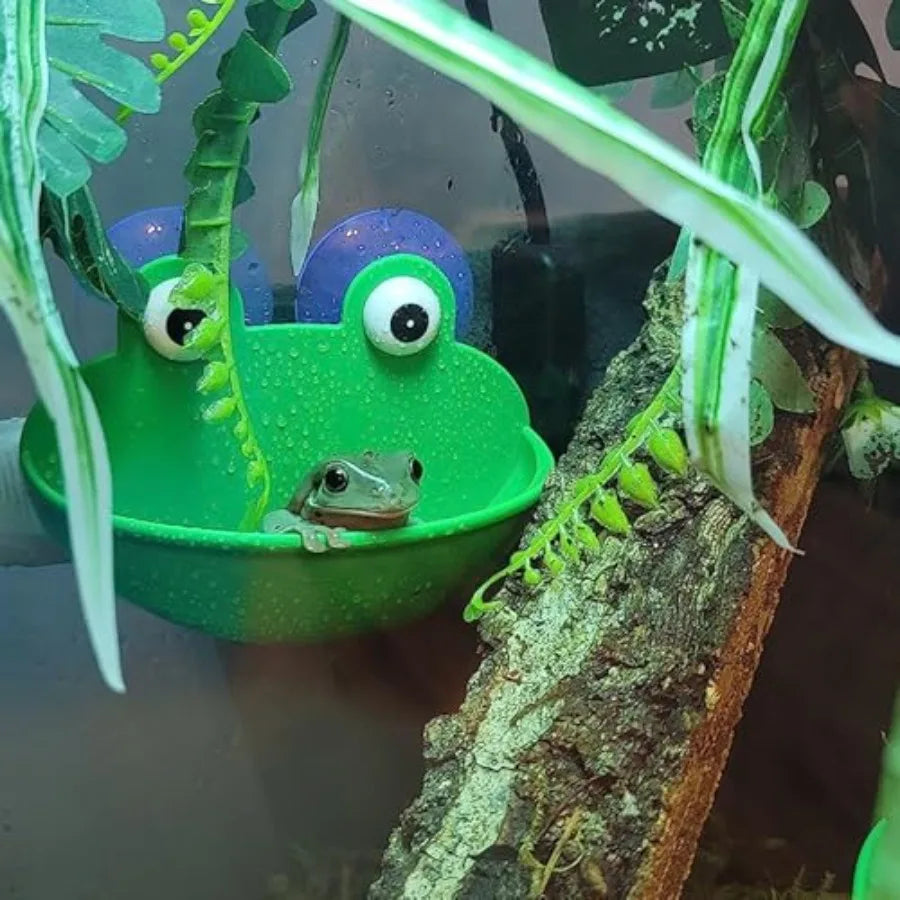 2 Pack Frog Habitat Cute Fish Tank Decoration for Toad Tadpole Tree Frog and Small Aquatic Animals