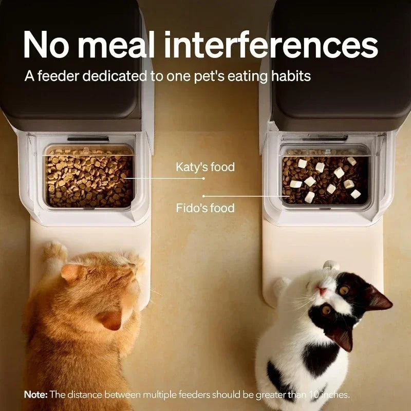 Sell like hot cakes 3L Auto Cat Feeders with Light Collar Tag, Tag Activated  Automatic Cat Feeders for 2 Cats, 5G Wi-Fi 2 Cat F