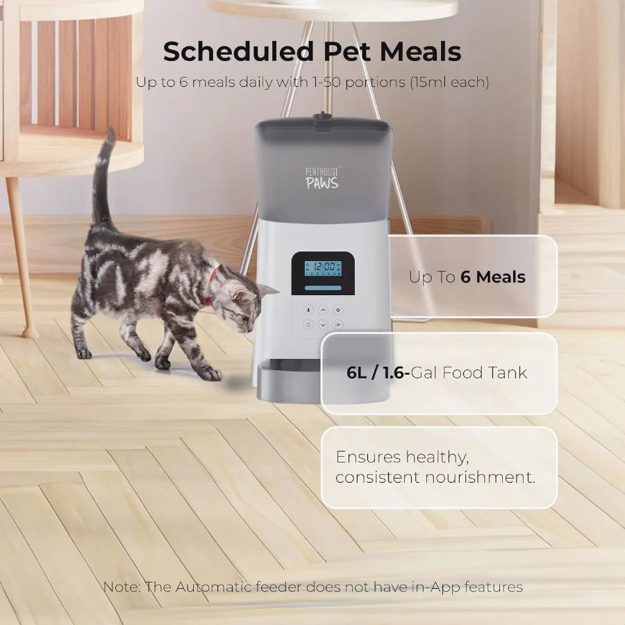 Automatic Cat Feeder with 6L Capacity for Dry Dog Food Dispensing LCD Display for Meal Monitoring TwistLock Airtight Storage to