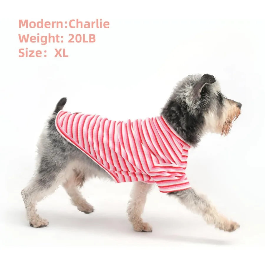 Cotton Breathable Dog Shirt For Small And Medium Dogs Indoor Winter Wear