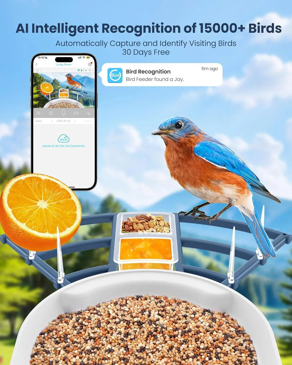 Smart Bird Feeder With 4K Camera AI Species Recognition Solar Powered Live Video