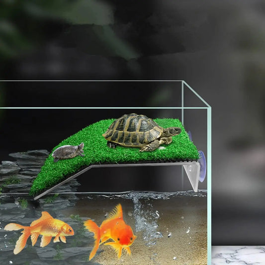 Turtle Basking Platform Ramp For Tank Non Toxic PP Plastic