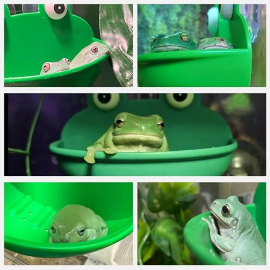 2 Pack Frog Habitat Cute Fish Tank Decoration for Toad Tadpole Tree Frog and Small Aquatic Animals